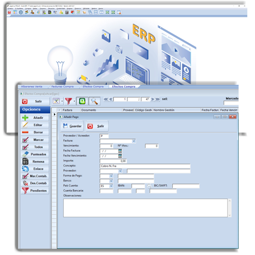 eagle ERP taller Facturacin